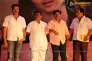 Premantene Chitram Audio Release