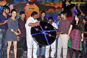 Saradaga Ammayito Audio Release