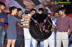 Saradaga Ammayito Audio Release