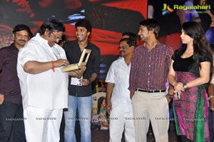 Saradaga Ammayito Audio Release