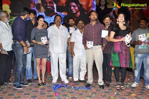 Saradaga Ammayito Audio Release