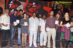 Saradaga Ammayito Audio Release