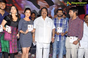 Saradaga Ammayito Audio Release