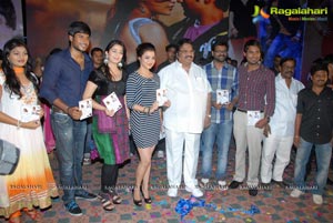 Saradaga Ammayito Audio Release