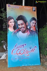 Saradaga Ammayito Audio Release