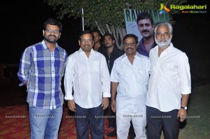 Saradaga Ammayito Audio Release