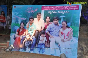 Saradaga Ammayito Audio Release