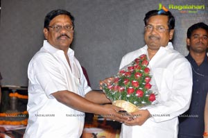 Saradaga Ammayito Audio Release