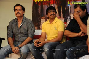 Tadakha Success Meet Photos