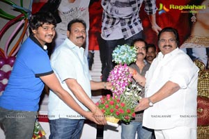 Tadakha Success Meet