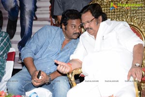 Tadakha Success Meet