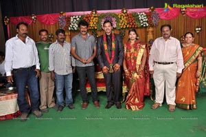 Yadav Krishna Son Suresh Wedding Reception