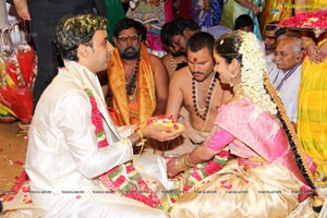 Daggubati Purandeswari Son Wedding Photos