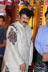 Daggubati Purandeswari Son Wedding Photos