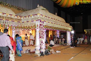 Daggubati Purandeswari Son Wedding Photos