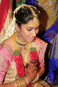 Daggubati Purandeswari Son Wedding Photos