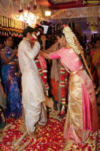 Daggubati Purandeswari Son Wedding Photos