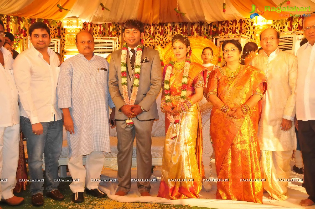 Nikhil's Sister Sonali Wedding