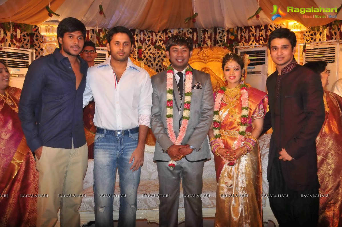 Nikhil's Sister Sonali Wedding