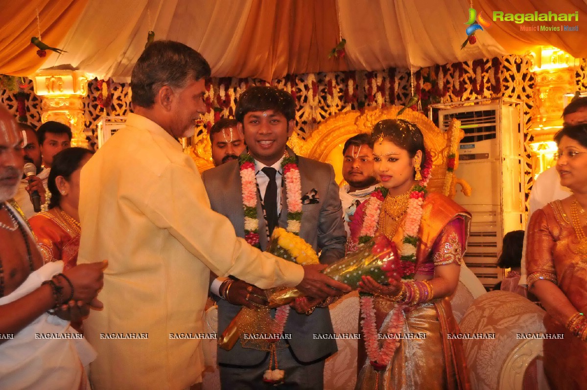 Nikhil's Sister Sonali Wedding