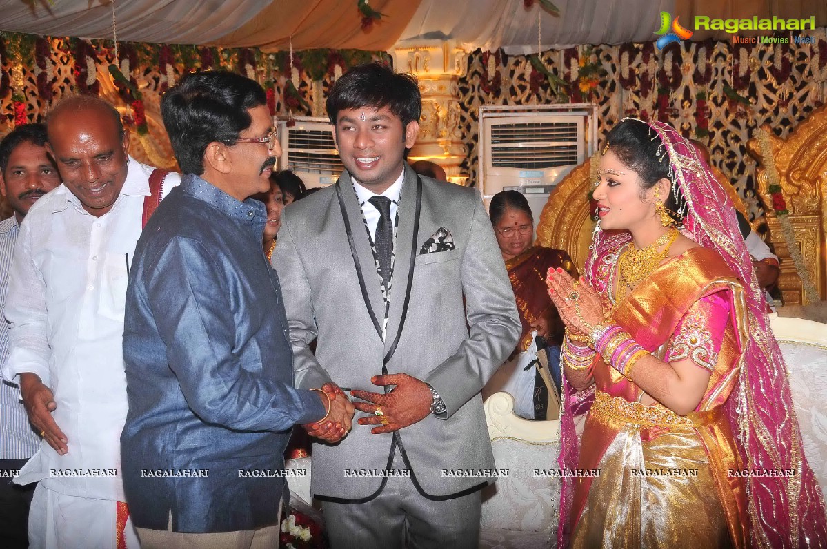 Nikhil's Sister Sonali Wedding