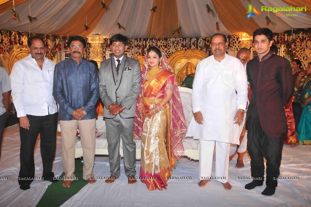 Nikhil's Sister Sonali Wedding