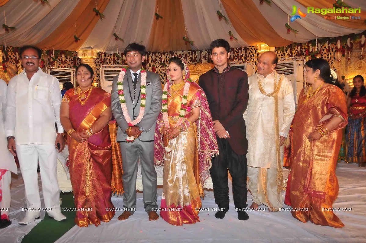 Nikhil's Sister Sonali Wedding