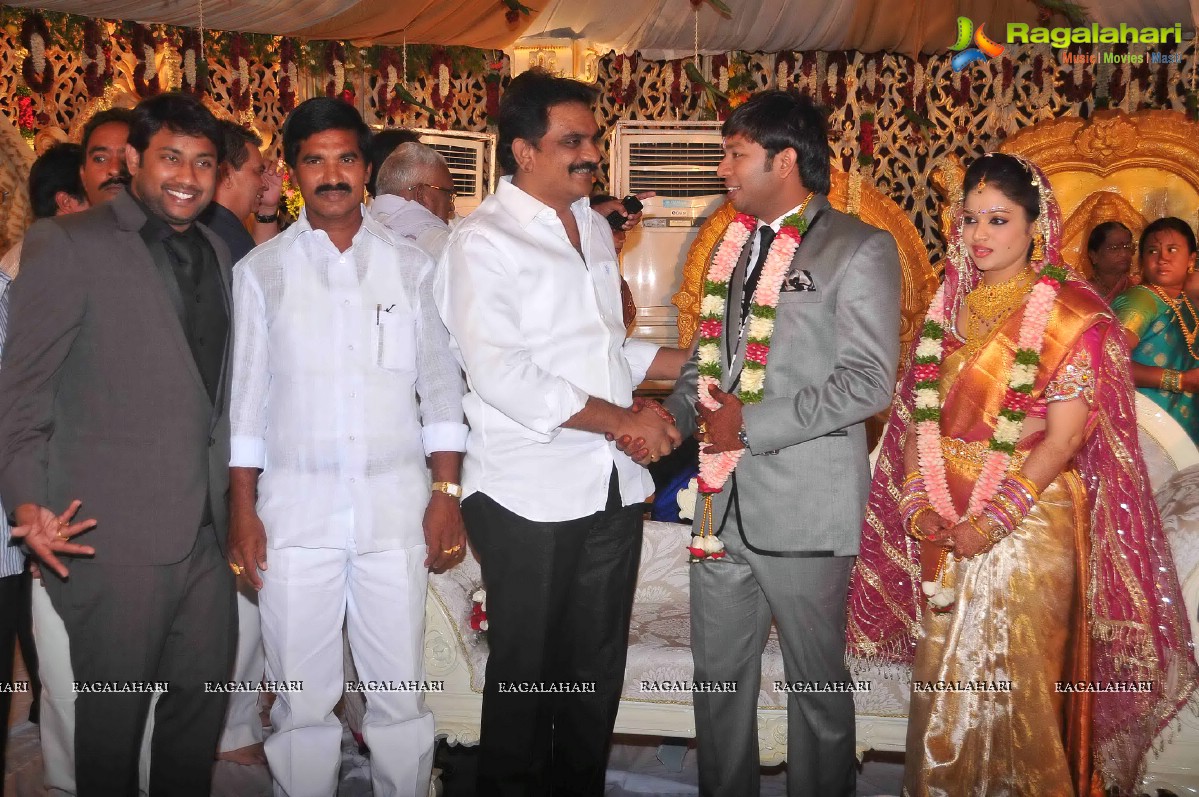 Nikhil's Sister Sonali Wedding