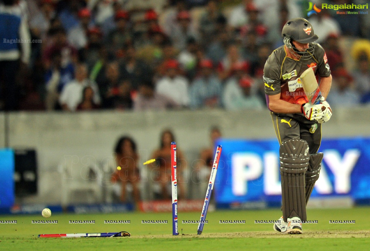 IPL 6: Hyderabad Sunrisers Vs. Rajasthan Royals