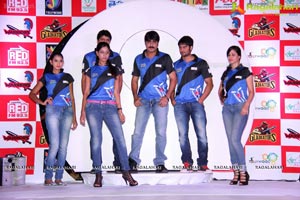 Team Solution Factory Cricket Cup