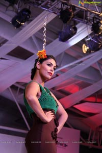 NIFT Fashionova 2013 Fashion Show