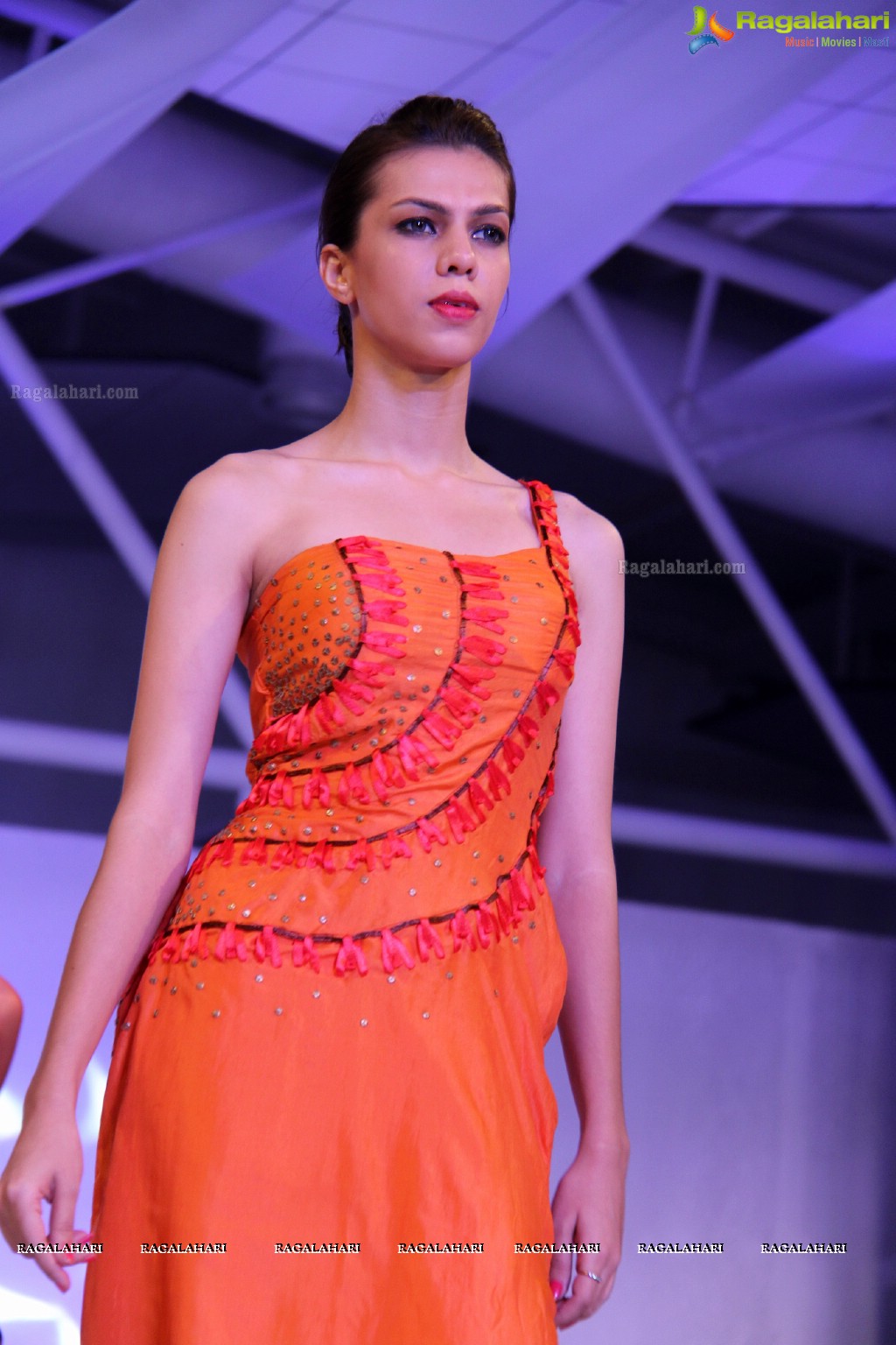 NIFT Fashionova and Knitmoda 2013, Hyderabad