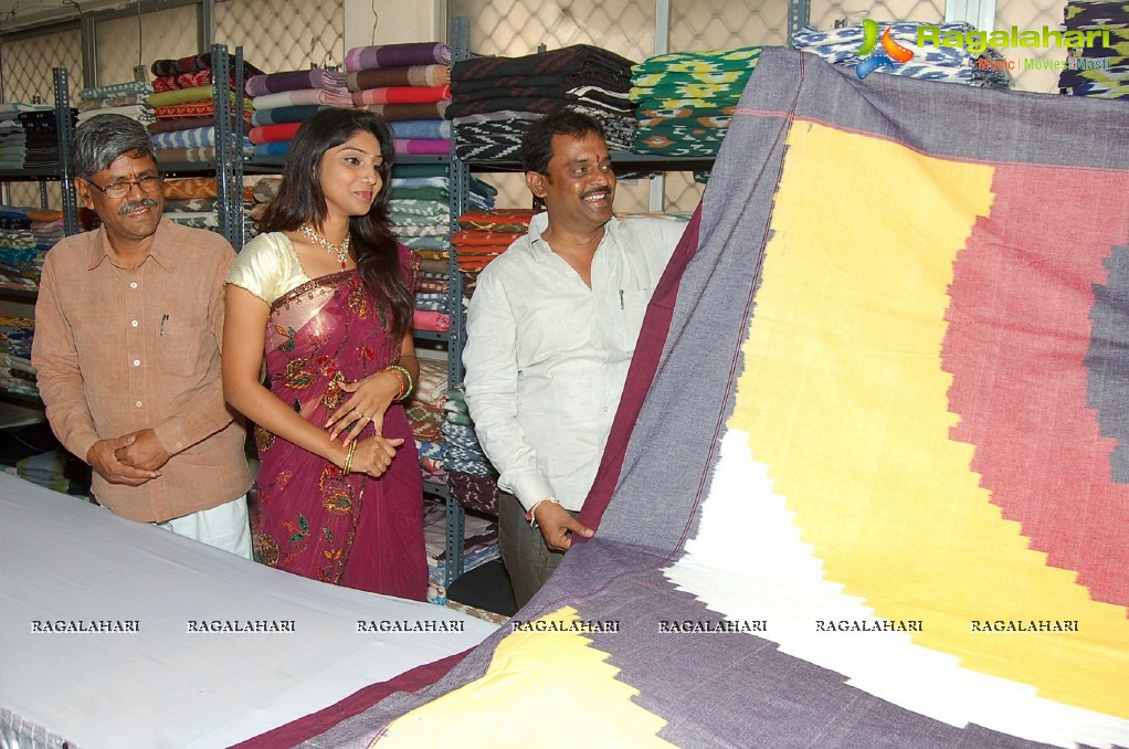 Neelima inaugurates Pochampally IKAT Art Mela, Vizag