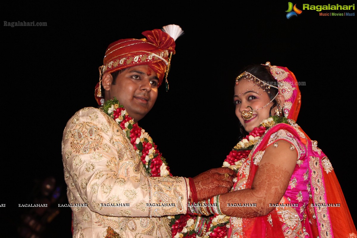 Praneet Agarwal-Swathi Agarwal Wedding at Classic Gardens