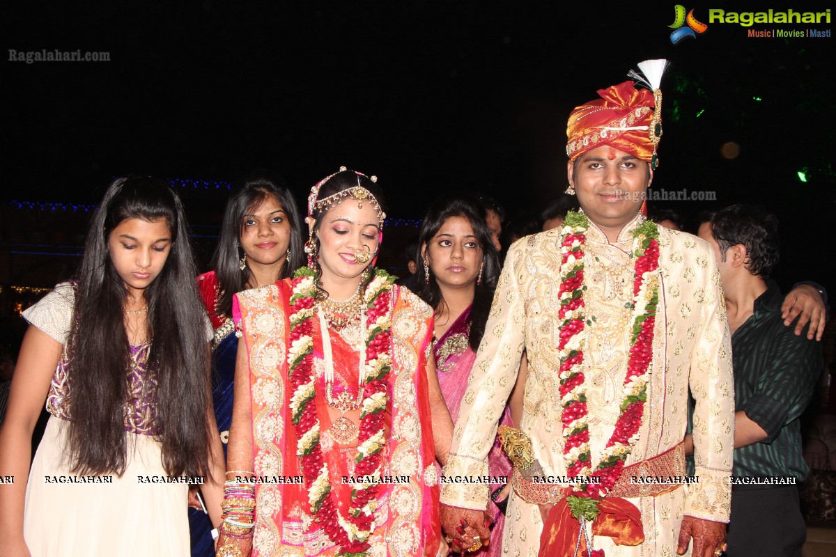 Praneet Agarwal-Swathi Agarwal Wedding at Classic Gardens