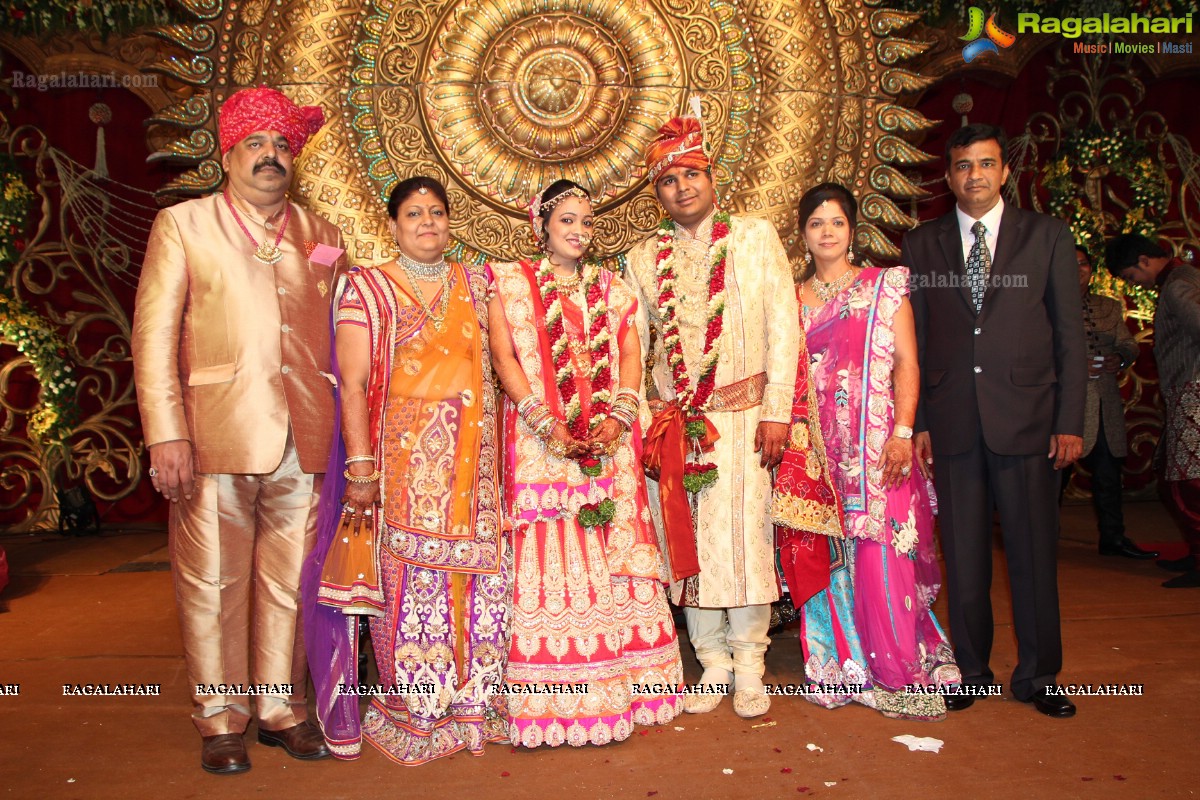 Praneet Agarwal-Swathi Agarwal Wedding at Classic Gardens