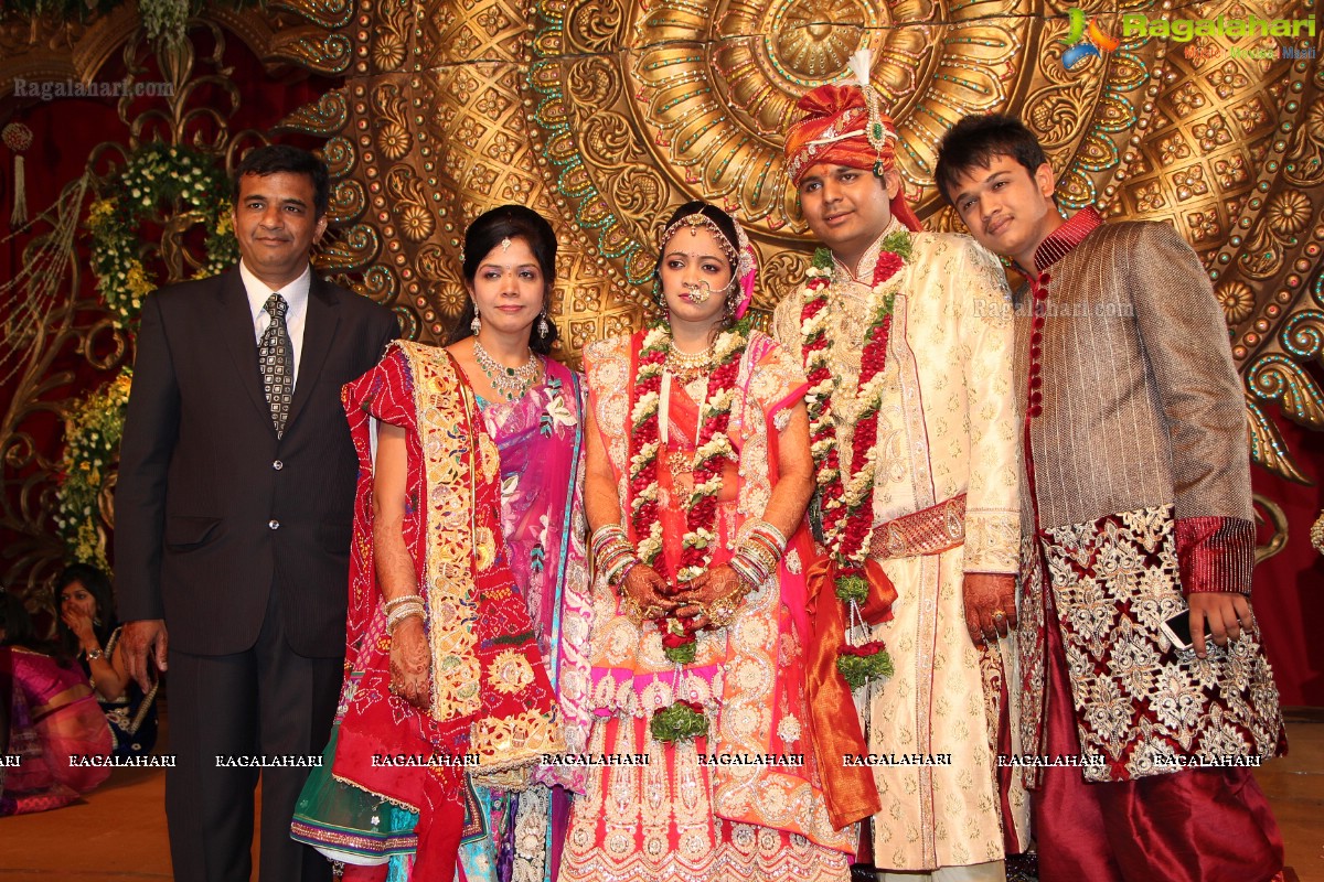 Praneet Agarwal-Swathi Agarwal Wedding at Classic Gardens