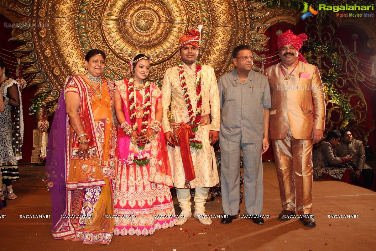 Praneet Agarwal-Swathi Agarwal Wedding at Classic Gardens