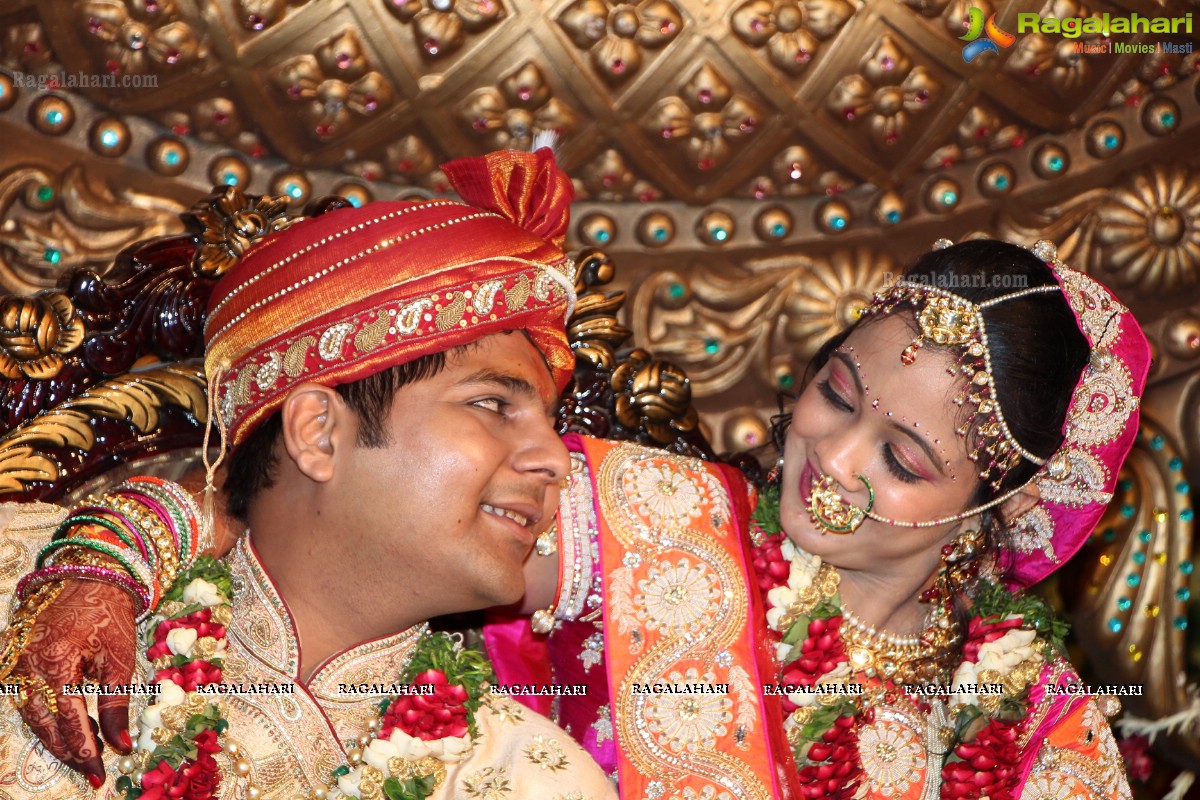 Praneet Agarwal-Swathi Agarwal Wedding at Classic Gardens