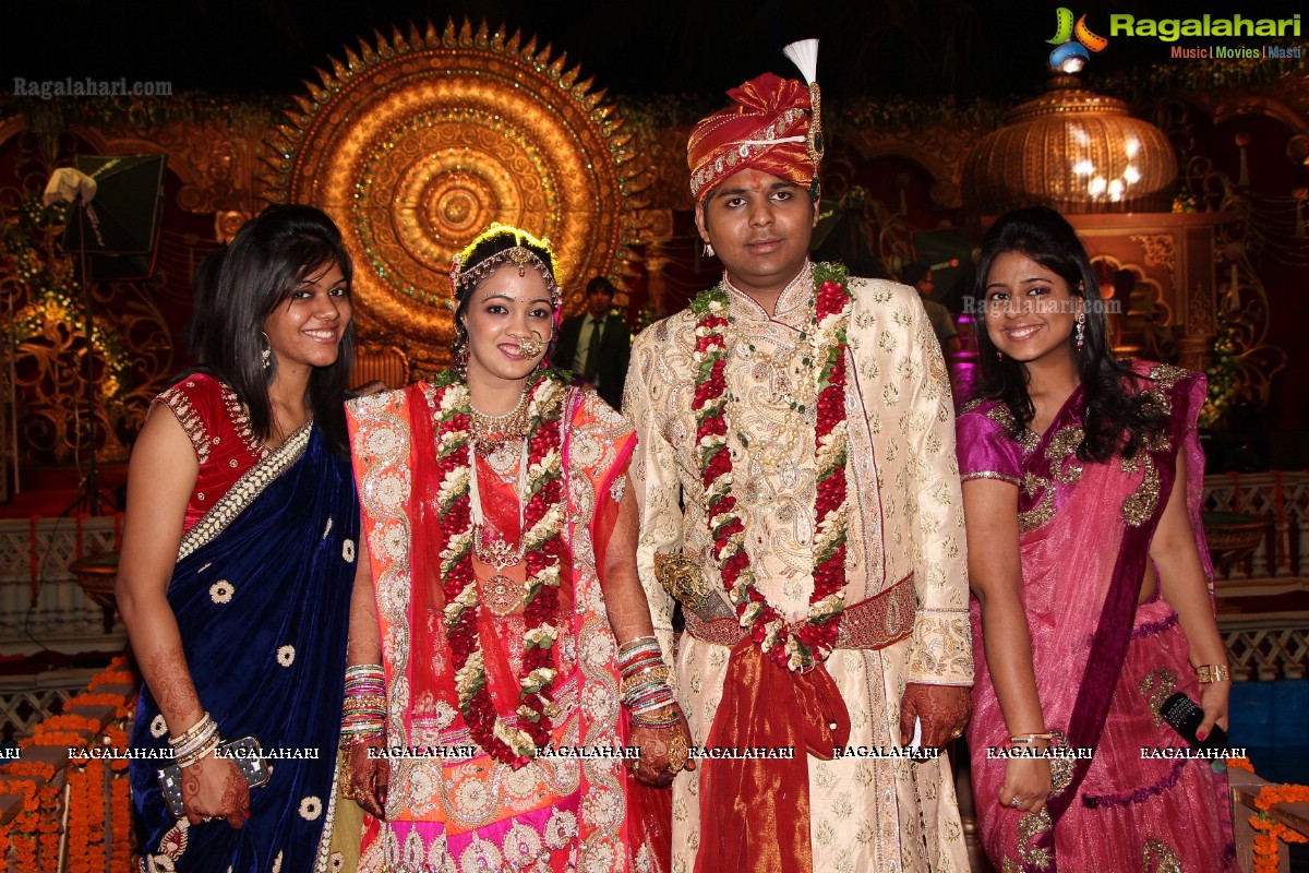 Praneet Agarwal-Swathi Agarwal Wedding at Classic Gardens