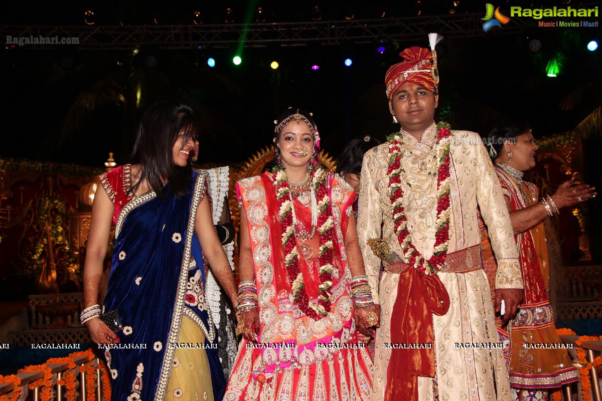 Praneet Agarwal-Swathi Agarwal Wedding at Classic Gardens