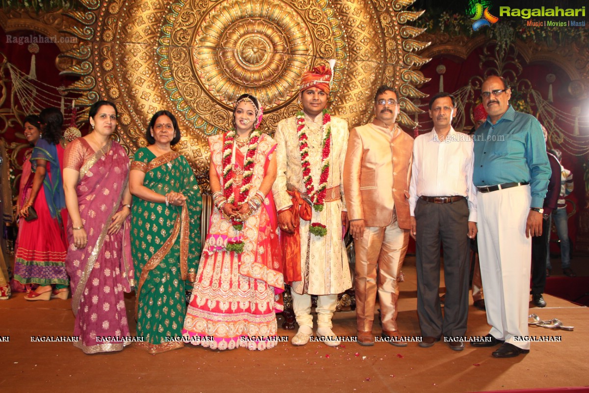 Praneet Agarwal-Swathi Agarwal Wedding at Classic Gardens