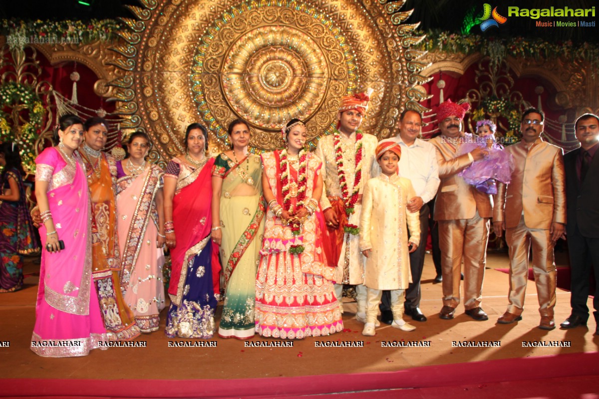 Praneet Agarwal-Swathi Agarwal Wedding at Classic Gardens