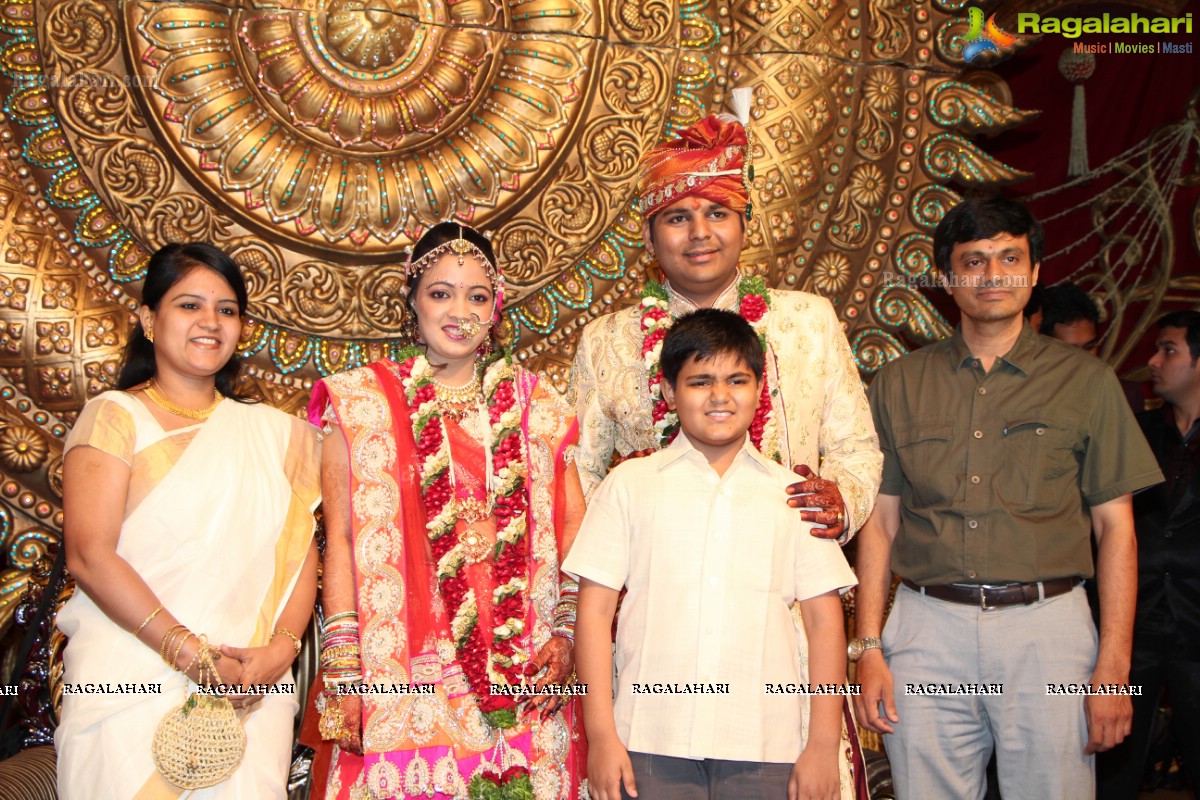 Praneet Agarwal-Swathi Agarwal Wedding at Classic Gardens