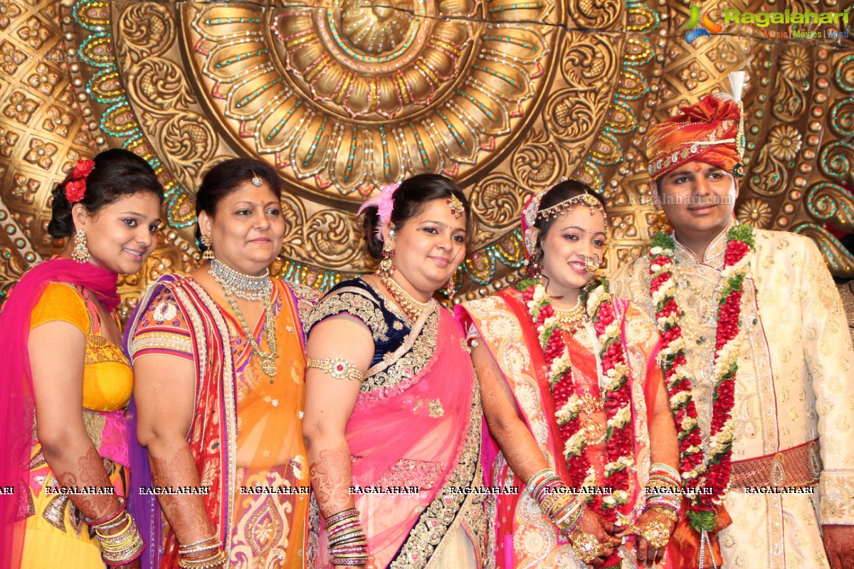 Praneet Agarwal-Swathi Agarwal Wedding at Classic Gardens