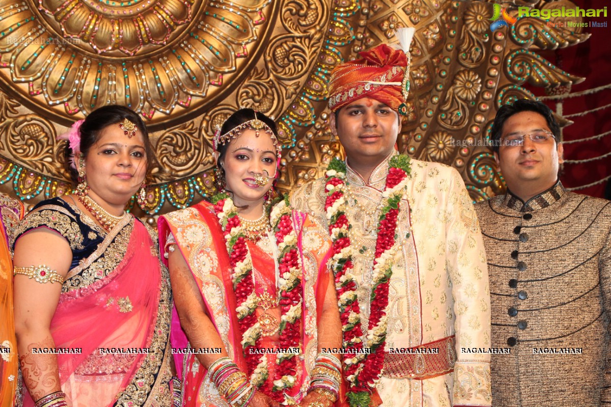 Praneet Agarwal-Swathi Agarwal Wedding at Classic Gardens