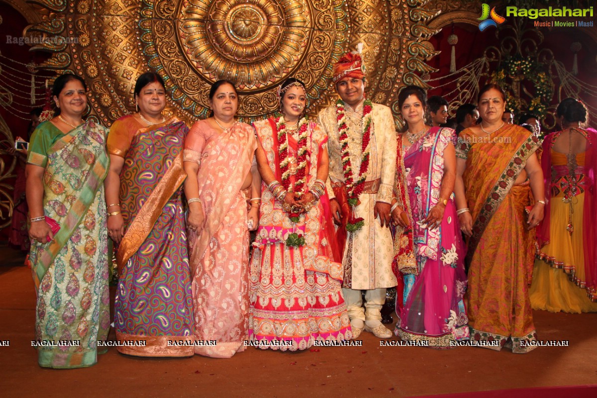 Praneet Agarwal-Swathi Agarwal Wedding at Classic Gardens