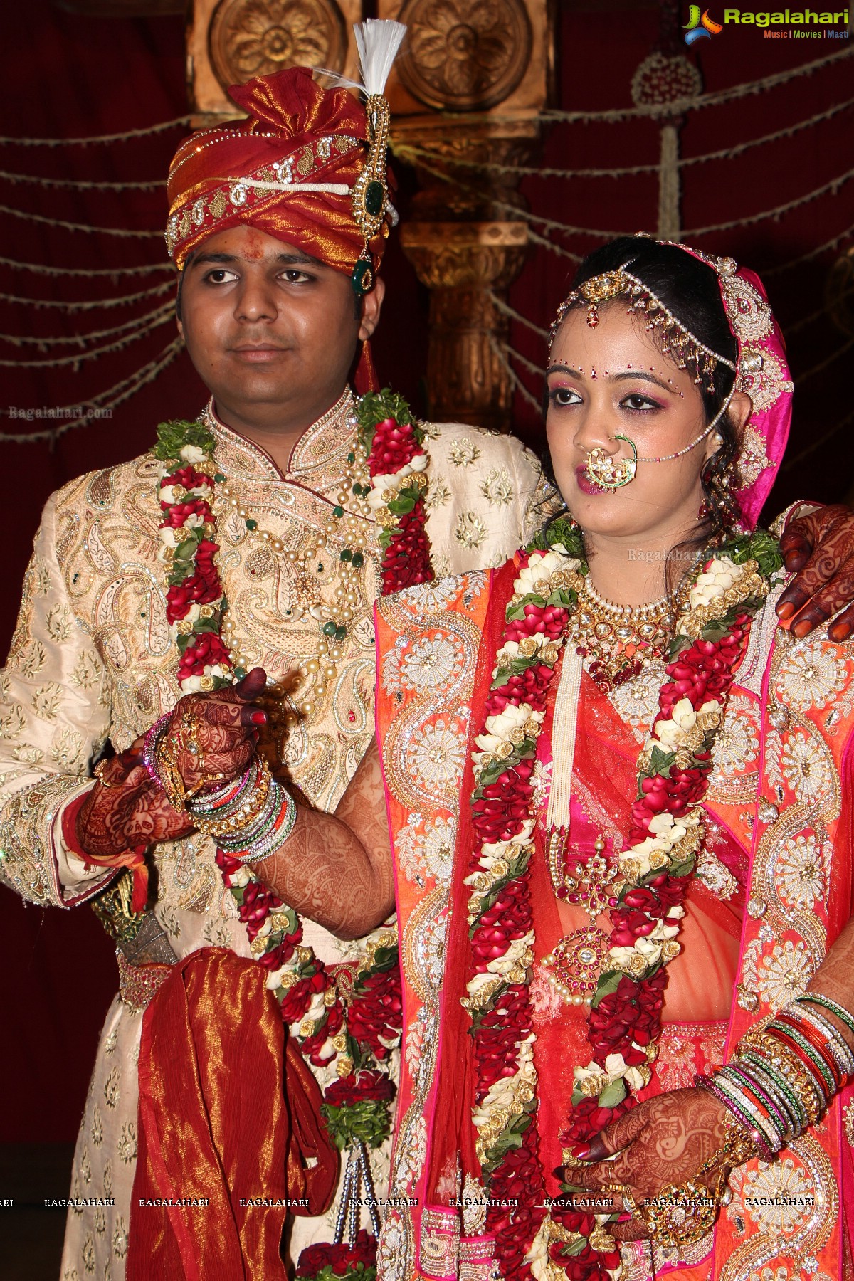 Praneet Agarwal-Swathi Agarwal Wedding at Classic Gardens