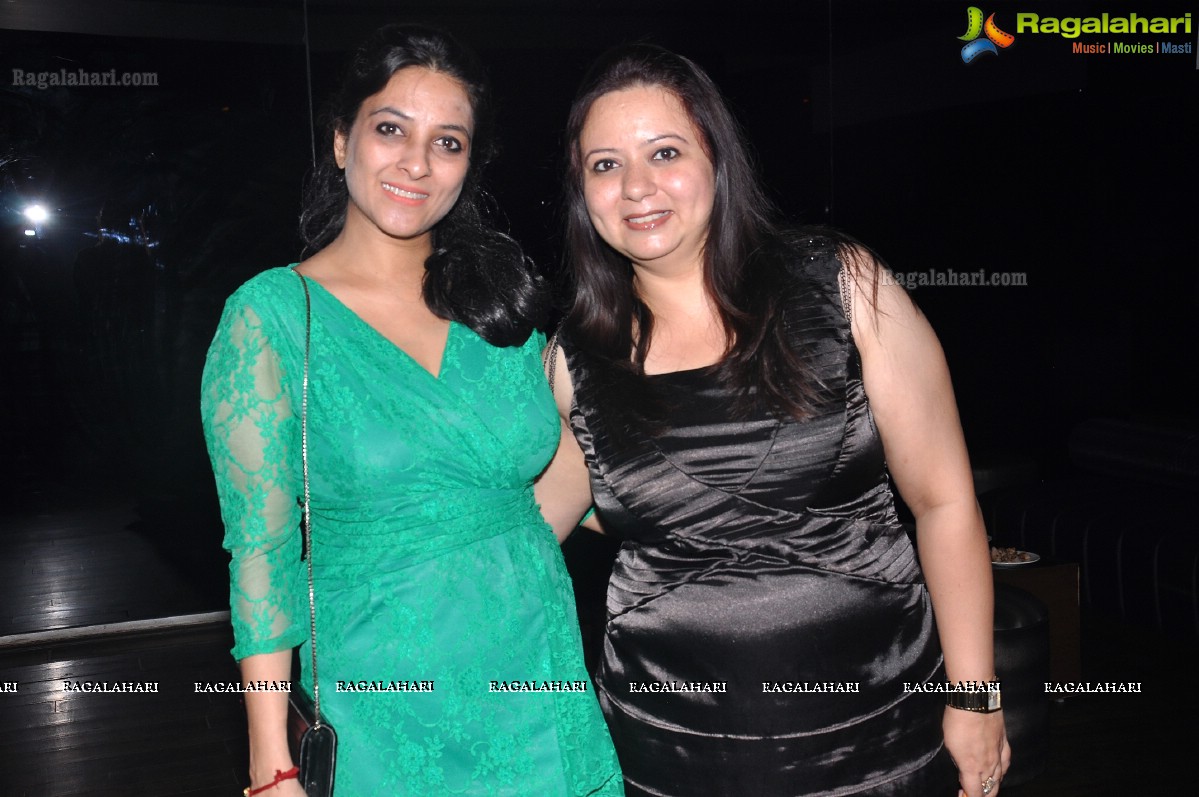 Seema Chopra 2013 Birthday Bash at Rain Pub, Hyderabad