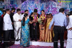 Srisailam Yadav Son Wedding Reception